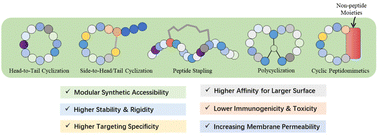 Graphical abstract: Recent advances in peptide macrocyclization strategies
