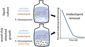 Graphical abstract: Degradation of imidacloprid by Phanerodontia chrysosporium on wood chips for stormwater treatment