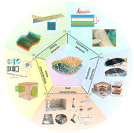 Graphical abstract: Triboelectric nanogenerators as self-powered sensors for biometric authentication