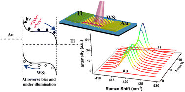 Graphical abstract: Asymmetric contact-induced selective doping of CVD-grown bilayer WS2 and its application in high-performance photodetection with an ultralow dark current