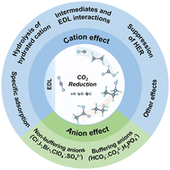 Graphical abstract: Unveiling the effects of ions in the electric double layer on the carbon dioxide reduction reaction