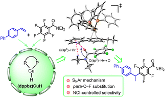 Graphical abstract: Mechanistic study of CuH-catalyzed hydroarylation of alkenes with polyfluoroarenes involving C–F bond functionalization: noncovalent interaction-controlled regioselectivity