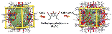 Graphical abstract: Nanocapsules of unprecedented internal volume seamed by calcium ions