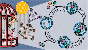 Graphical abstract: Picking the lock of coordination cage catalysis