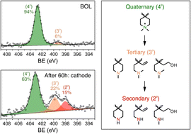 Graphical abstract: Ionomer degradation in catalyst layers of anion exchange membrane fuel cells