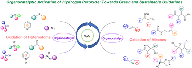 Graphical abstract: Organocatalytic activation of hydrogen peroxide: towards green and sustainable oxidations