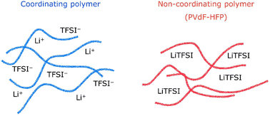 Graphical abstract: Do non-coordinating polymers function as host materials for solid polymer electrolytes? The case of PVdF-HFP