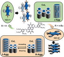 Graphical abstract: Columnar liquid-crystalline J-aggregates based on N-core-substituted naphthalene diimides