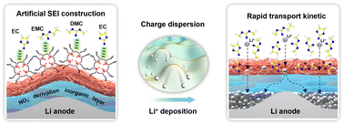 Graphical abstract: Achieving stable lithium metal anodes via the synergy of electrostatic shielding and the high Li+ flux inorganic interphase