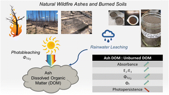 Graphical abstract: Optical properties and photobleaching of wildfire ashes aqueous extracts