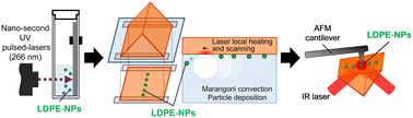Graphical abstract: Local infrared spectral measurement system for the inspection of independent nano-plastic particles in water-based solutions