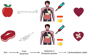 Graphical abstract: Biomarkers of food intake and their relevance to metabolic syndrome