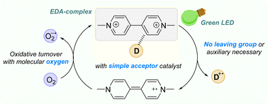 Graphical abstract: Methyl viologen as a catalytic acceptor for electron donor–acceptor photoinduced cyclization reactions