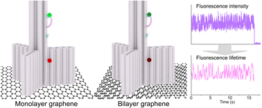 Graphical abstract: Expanding the range of graphene energy transfer with multilayer graphene