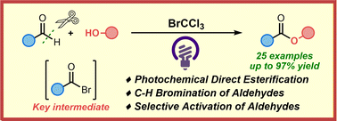 Graphical abstract: A direct oxidative esterification of aldehydes with alcohols mediated by photochemical C–H bromination