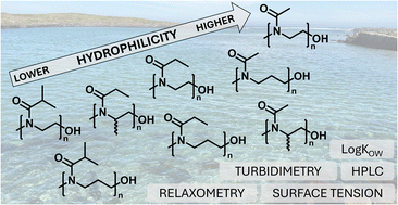 Graphical abstract: Comparison of the hydrophilicity of water-soluble poly(2-alkyl-2-oxazoline)s, poly(2-alkyl-2-oxazine)s and poly(2,4-dialkyl-2-oxazoline)s