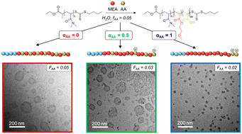 Graphical abstract: Effect of pH on the incorporation of acrylic acid units in the core of polymer nanoparticles prepared by PISA and on their morphology