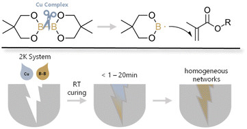 Graphical abstract: Boron–boron bonds: boldly breaking boundaries towards amine- and peroxide-free 2K radical polymerization