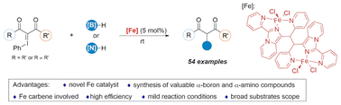 Graphical abstract: Fe-Catalyzed B–H and N–H insertion reactions of iodonium ylides
