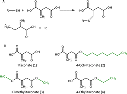 Graphical abstract: Itaconate and its derivatives as anti-pathogenic agents