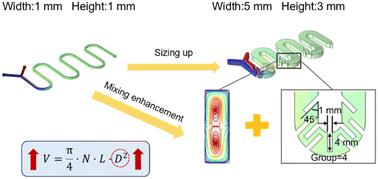 Graphical abstract: Flat-plate mesophotoreactor with a serpentine channel and inclined baffles for balancing mixing performance and reaction throughput