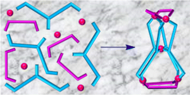 Graphical abstract: A pair of conjoined trinuclear sub-frameworks in a pentanuclear double-cavity discrete coordination cage