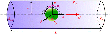 Graphical abstract: Spontaneous emergence of motion of an isotropic active particle in a Carreau fluid