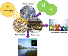 Graphical abstract: Photocatalytic valorisation of real-world substrates