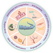 Graphical abstract: Electrospun organic/inorganic hybrid nanofibers for accelerating wound healing: a review