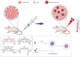 Graphical abstract: Acceptor–donor–acceptor-type molecules with large electrostatic potential difference for effective NIR photothermal therapy