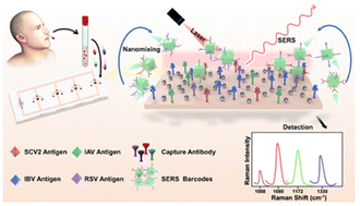 Graphical abstract: A novel surface-enhanced Raman based molecular identification platform for multiplexed and highly accurate clinical diagnosis of viral diseases
