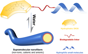 Graphical abstract: Spontaneous assembly of a class of small molecule prodrugs directed by SN38