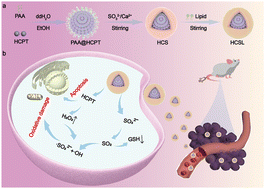 Graphical abstract: A biodegradable calcium sulfite nanoreactor for pH triggered gas therapy in combination with chemotherapy