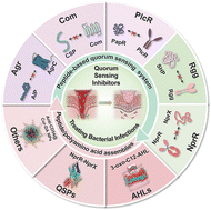 Graphical abstract: Bioinspired peptide/polyamino acid assemblies as quorum sensing inhibitors for the treatment of bacterial infections