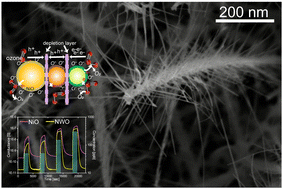 Graphical abstract: 3D-(p/p/n) NiO/NiWO4/WO3 heterostructures for the selective detection of ozone