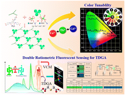 Graphical abstract: Amide-functionalized lanthanide metal–organic frameworks: smart double ratiometric fluorescence sensing of thiodiglycolic acid and tunable luminescence