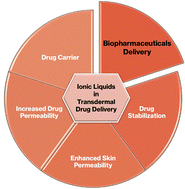 Graphical abstract: Ionic liquid-based transdermal drug delivery systems for biopharmaceuticals