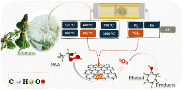 Graphical abstract: Selective singlet oxygen generation by microporous biochar for peracetic acid activation