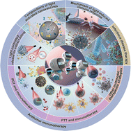 Graphical abstract: Photoactivated nanovaccines