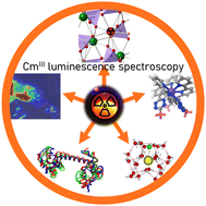 Graphical abstract: Curium(iii) luminescence spectroscopy as a tool for species determination
