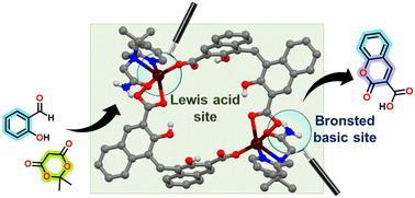 Graphical abstract: Synthesis of metal–organic rectangles decorated with primary amide groups for the synergistic Lewis acid and Brønsted base heterogeneous catalysis
