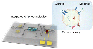 Graphical abstract: Integrated technologies for molecular profiling of genetic and modified biomarkers in extracellular vesicles