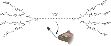Graphical abstract: Bola-amphiphilic glycodendrimers for targeting glial cells in the brain