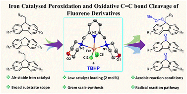 Graphical abstract: Iron-catalyzed peroxidation of fluorenes and 9-alkyl-9H-fluorenes and oxidative cleavage of the C [[double bond, length as m-dash]] C bond in 9-alkylidene-fluorenes