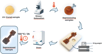 Graphical abstract: 3D printing with biobased epoxidized formulations based on vegetable oils with dynamic polymer network properties
