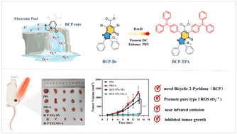 Graphical abstract: Bicyclic 2-pyridone, with fused heterocyclic rings, a facile core for pure type I photosensitizers