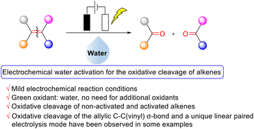 Graphical abstract: Electrochemical water activation for the oxidative cleavage of alkenes