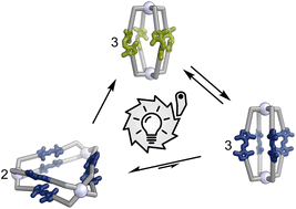 Graphical abstract: White-light powered autonomous molecular ratchet drives PdII capsules out of equilibrium
