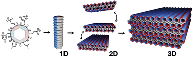 Graphical abstract: 3D self-assembly of cyclic peptides into multilayered nanosheets