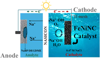 Graphical abstract: Bifunctional PGM-free electrocatalysts for seawater batteries